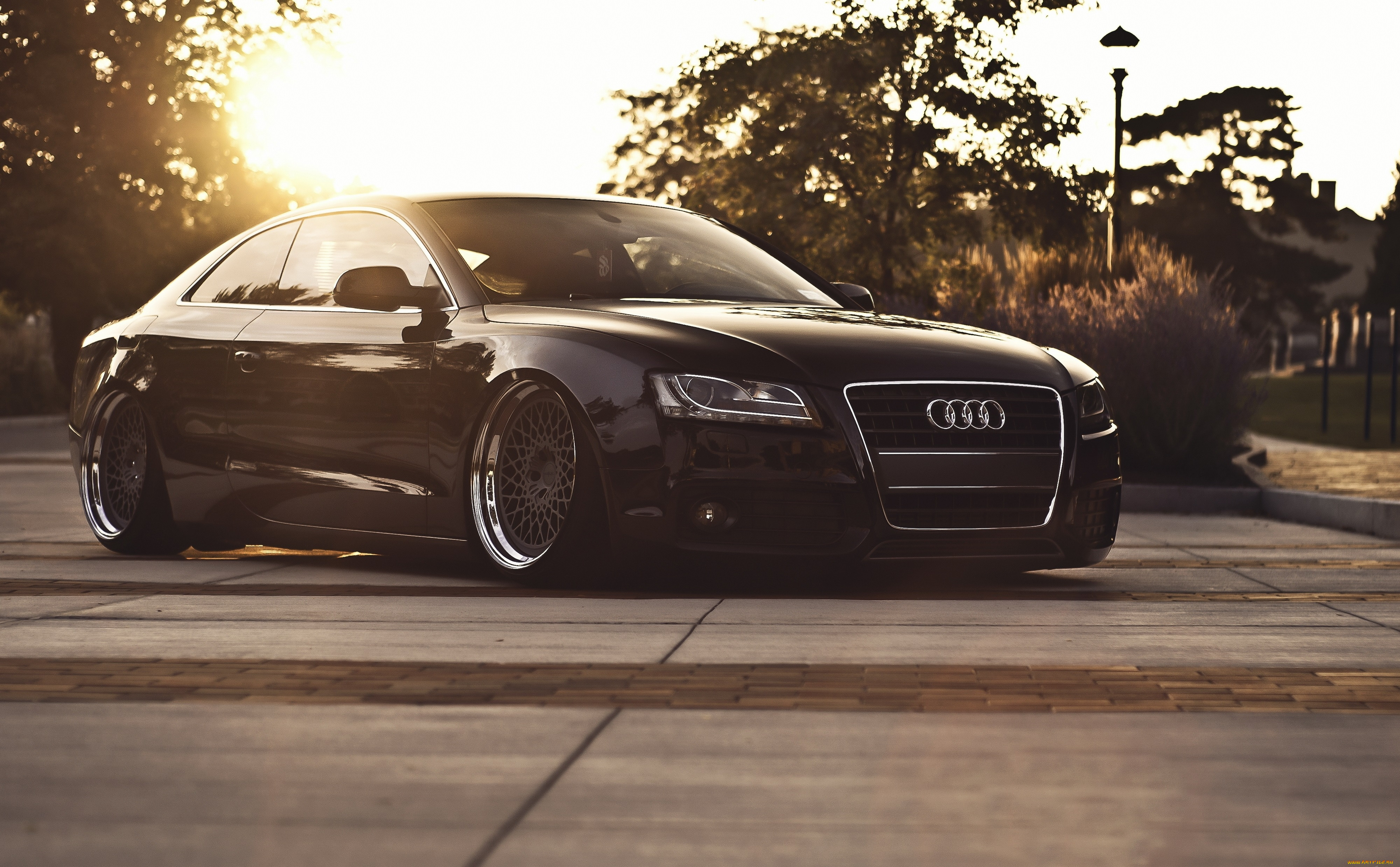 audi s5, , audi, , , , , , s5